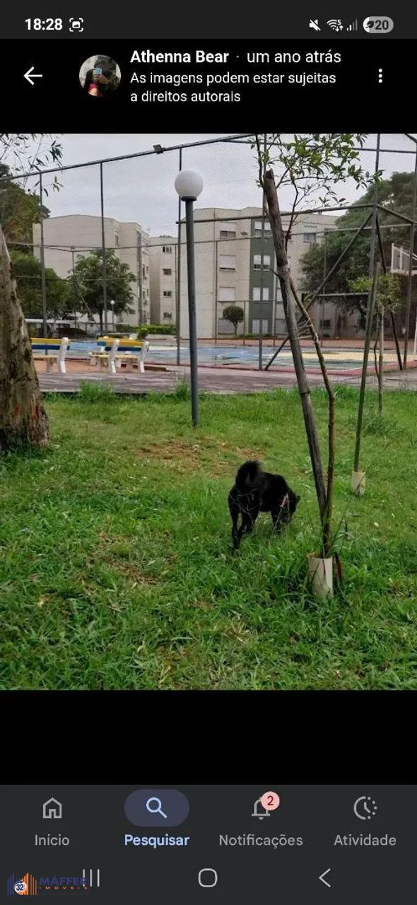 Apartamento, 1 quarto, 40 m² - Foto 19
