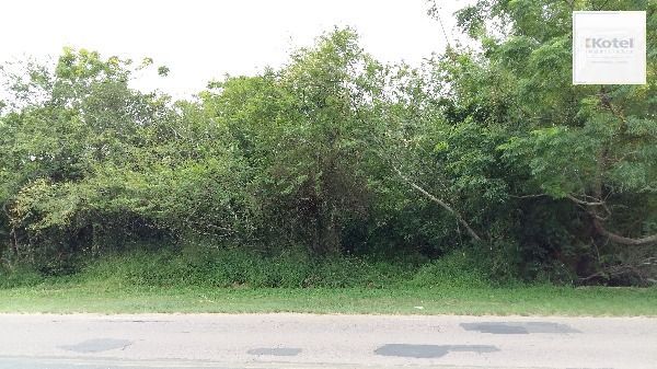 Terreno para Venda - 0m², 0 dormitórios, Lami — foto 2