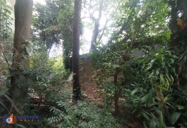 Terreno, 350 m² - Foto 9