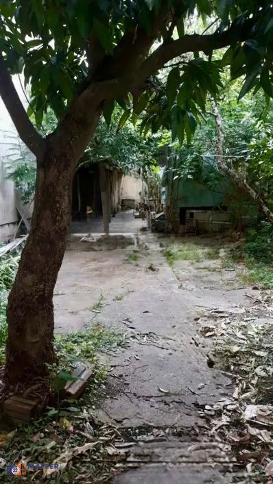 Terreno, 3 quartos, à venda, Jardim Botânico - Porto Alegre — foto 3