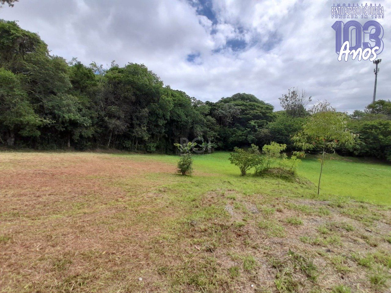 Terreno, 290 m² - Foto 3