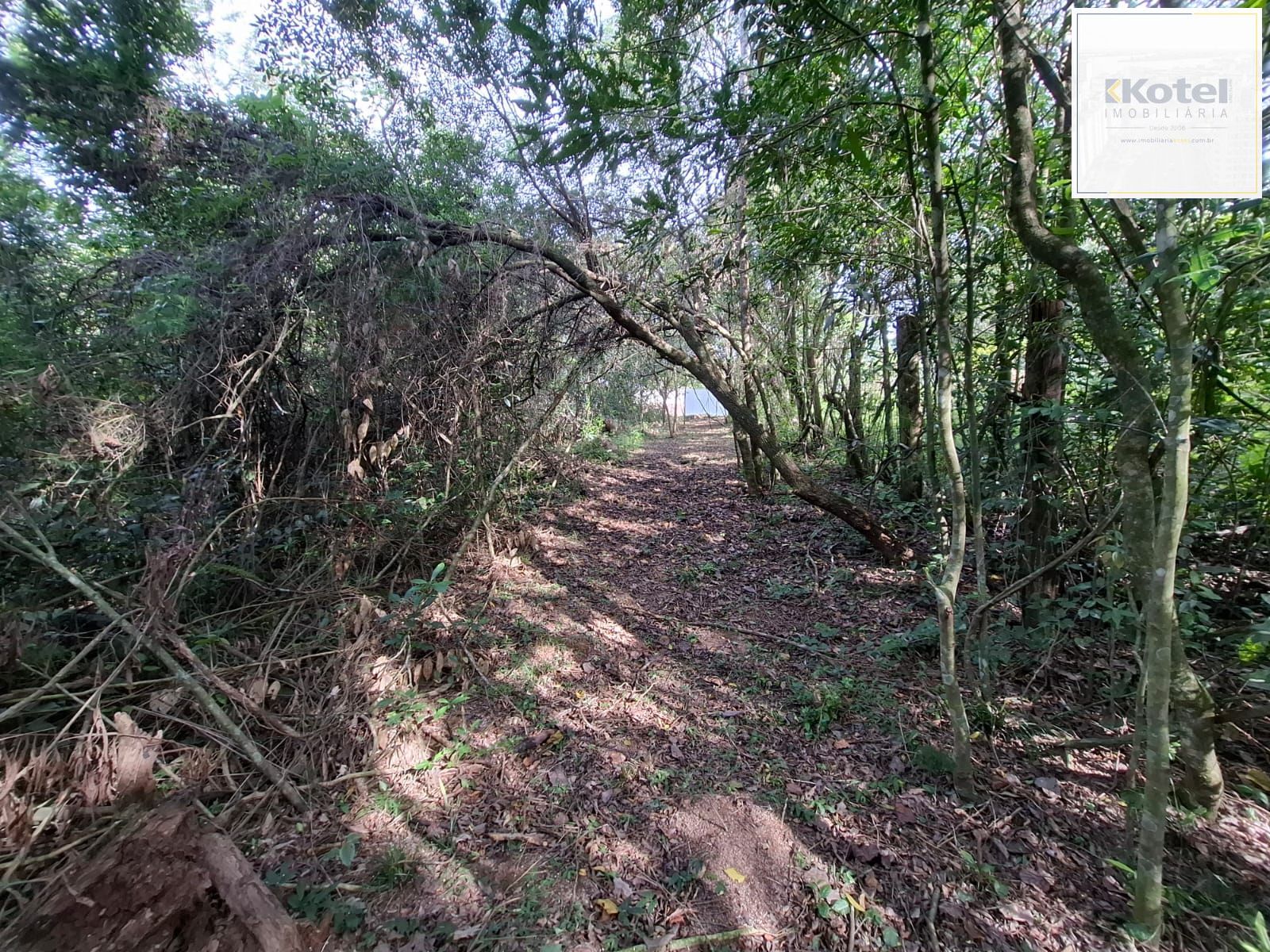 Terreno medindo 20 de frente por 65.46 de extenção Av Costa Gama 2845 — foto 5