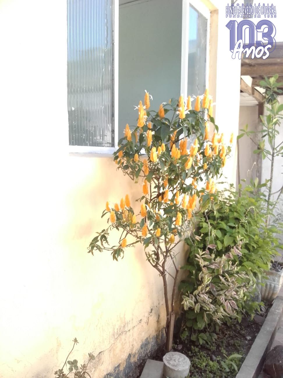 Terreno, 374 m² - Foto 8
