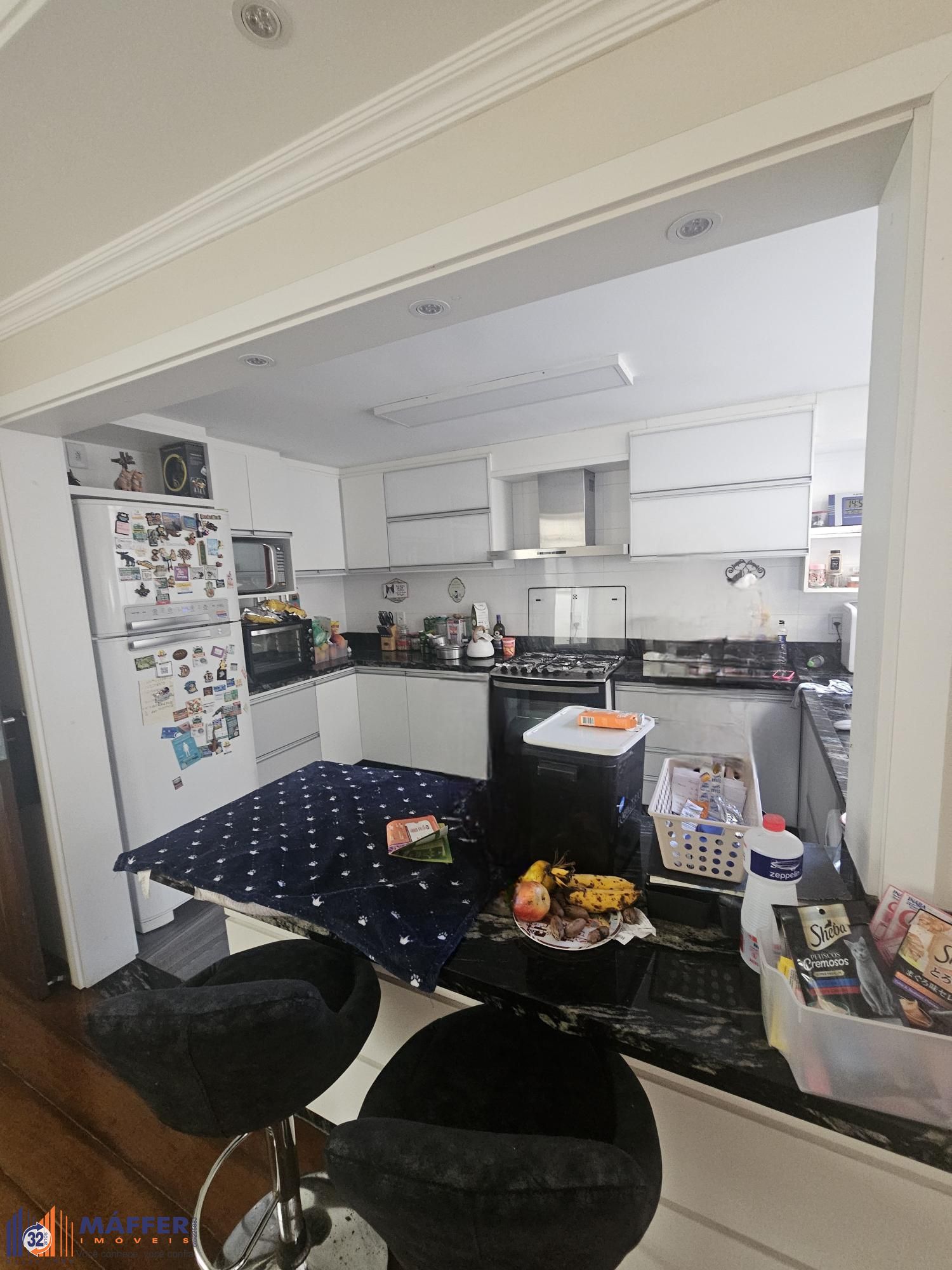 Casa, 4 quartos, 295 m² - Foto 6