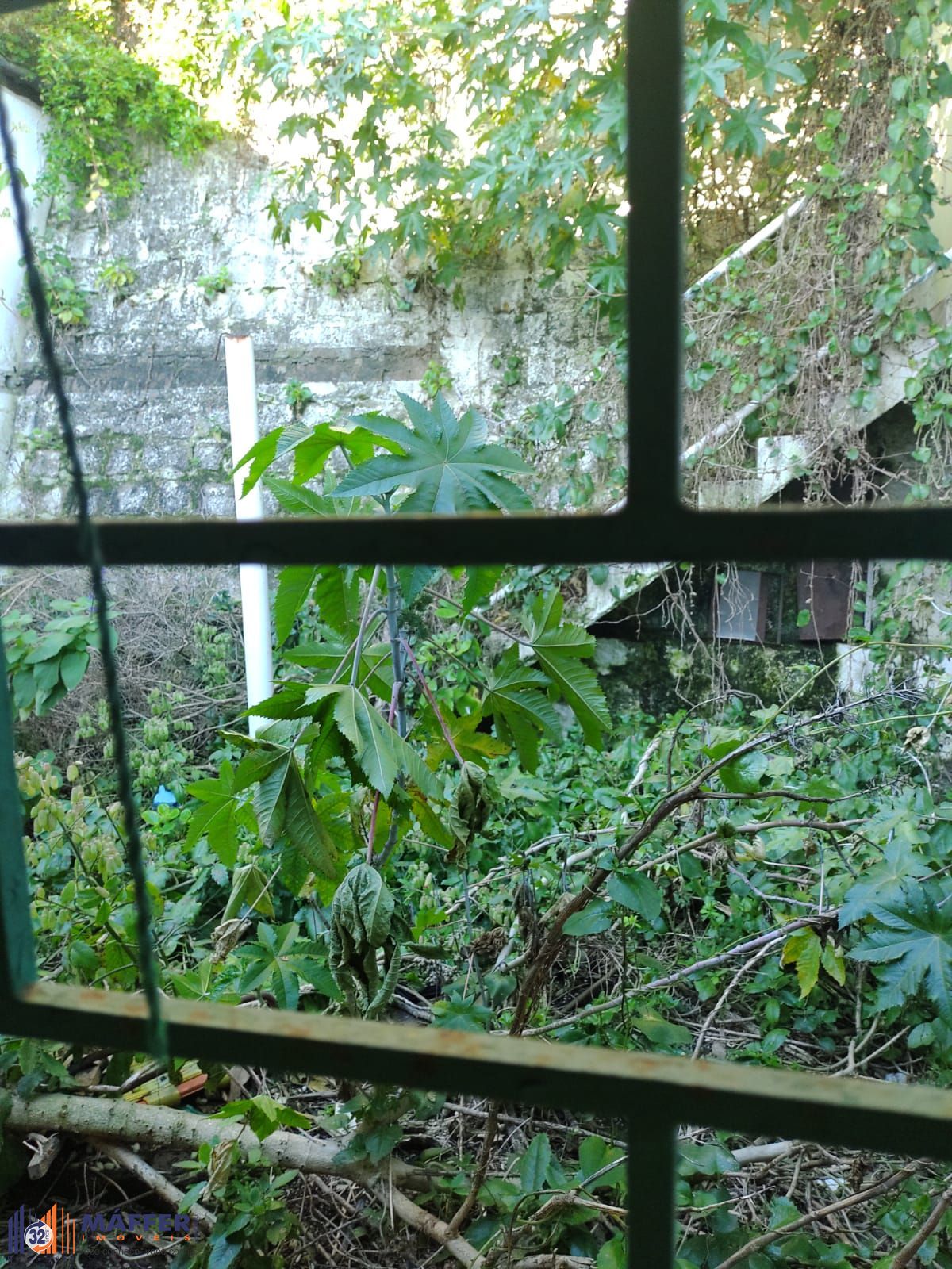 Casa, 3 quartos, à venda, 300 m², Jardim São Pedro - Porto Alegre — foto 5