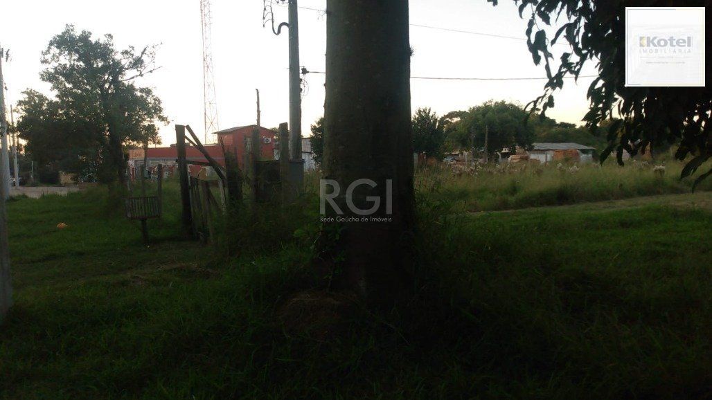 Terreno à venda, Restinga - Porto Alegre — foto 5