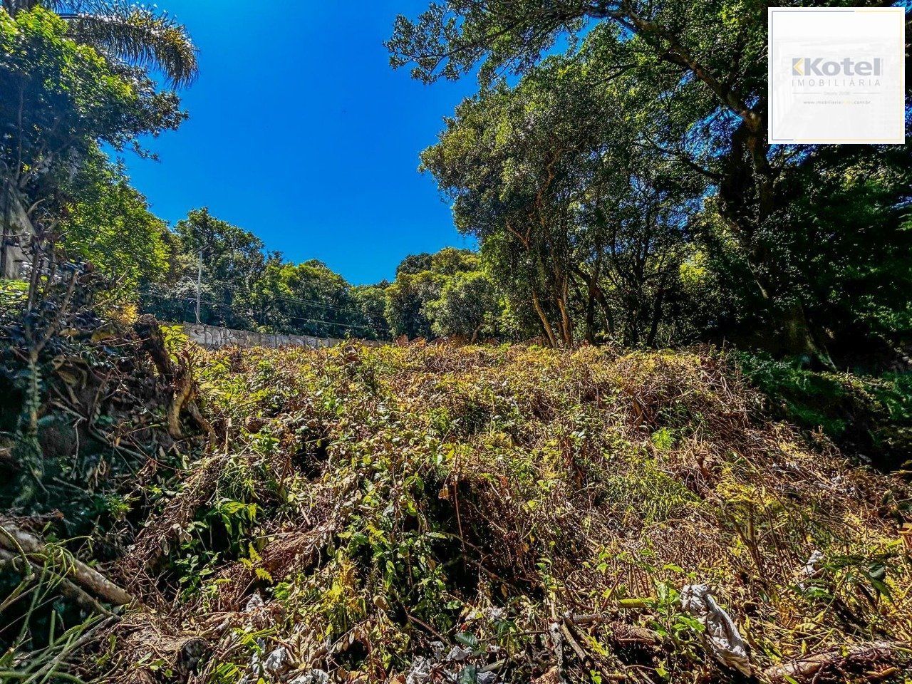 Terreno à venda, Ipanema - Porto Alegre — foto 4