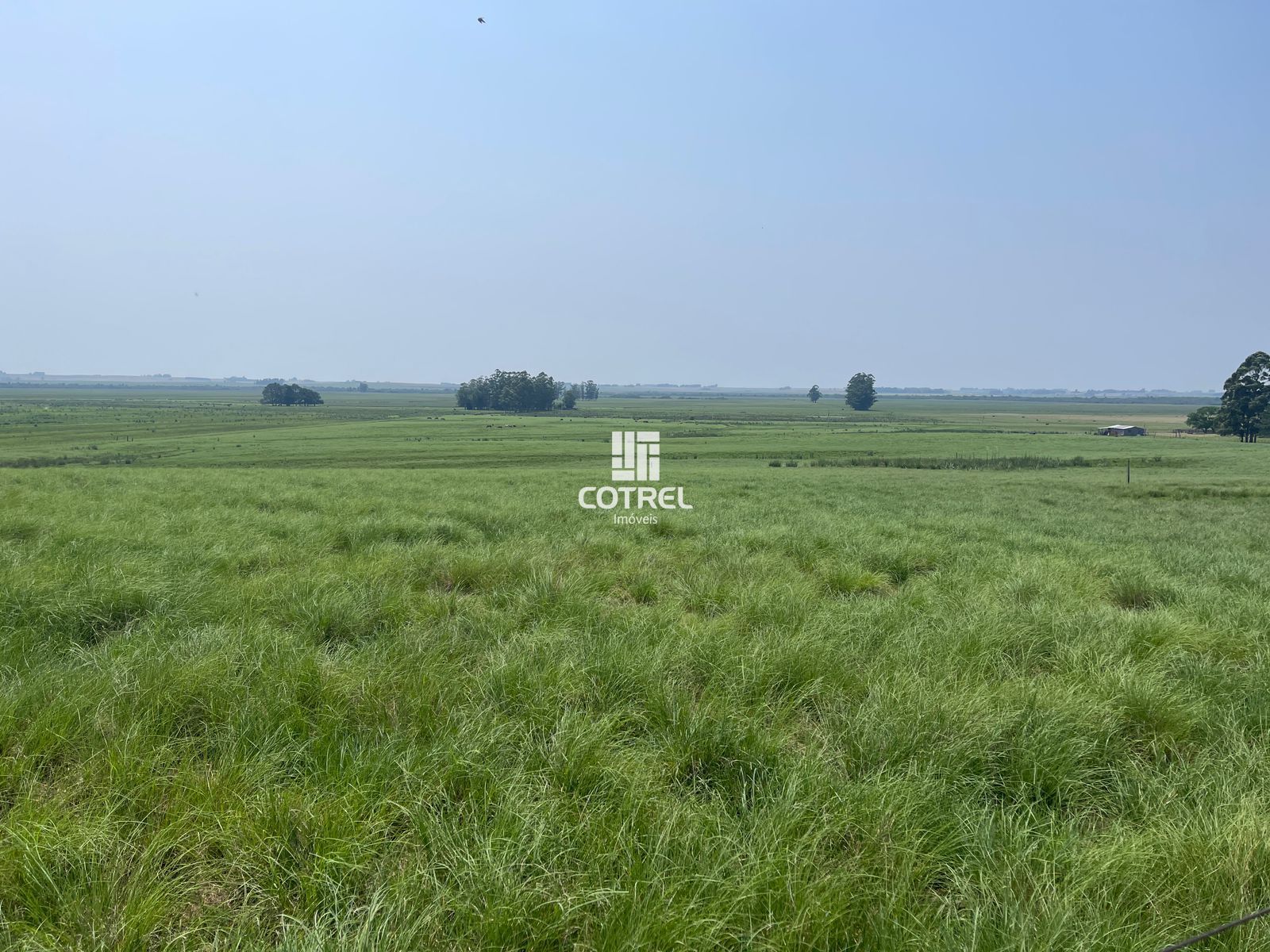 Fazenda para venda com 217 ha localizada na cidade de Sant'Ana do Livramento/RS.