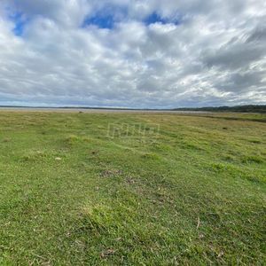 240 hectares em Palmares do Sul-RS