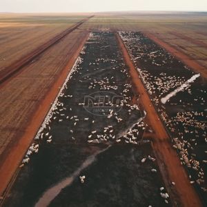 Fazendão no Mato Grosso!