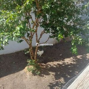 Casa térrea no Jardim Colônia em Jacareí - imagem 13