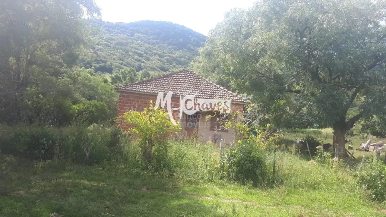 Sítio, 3 quartos, 5 hectares - Foto 4