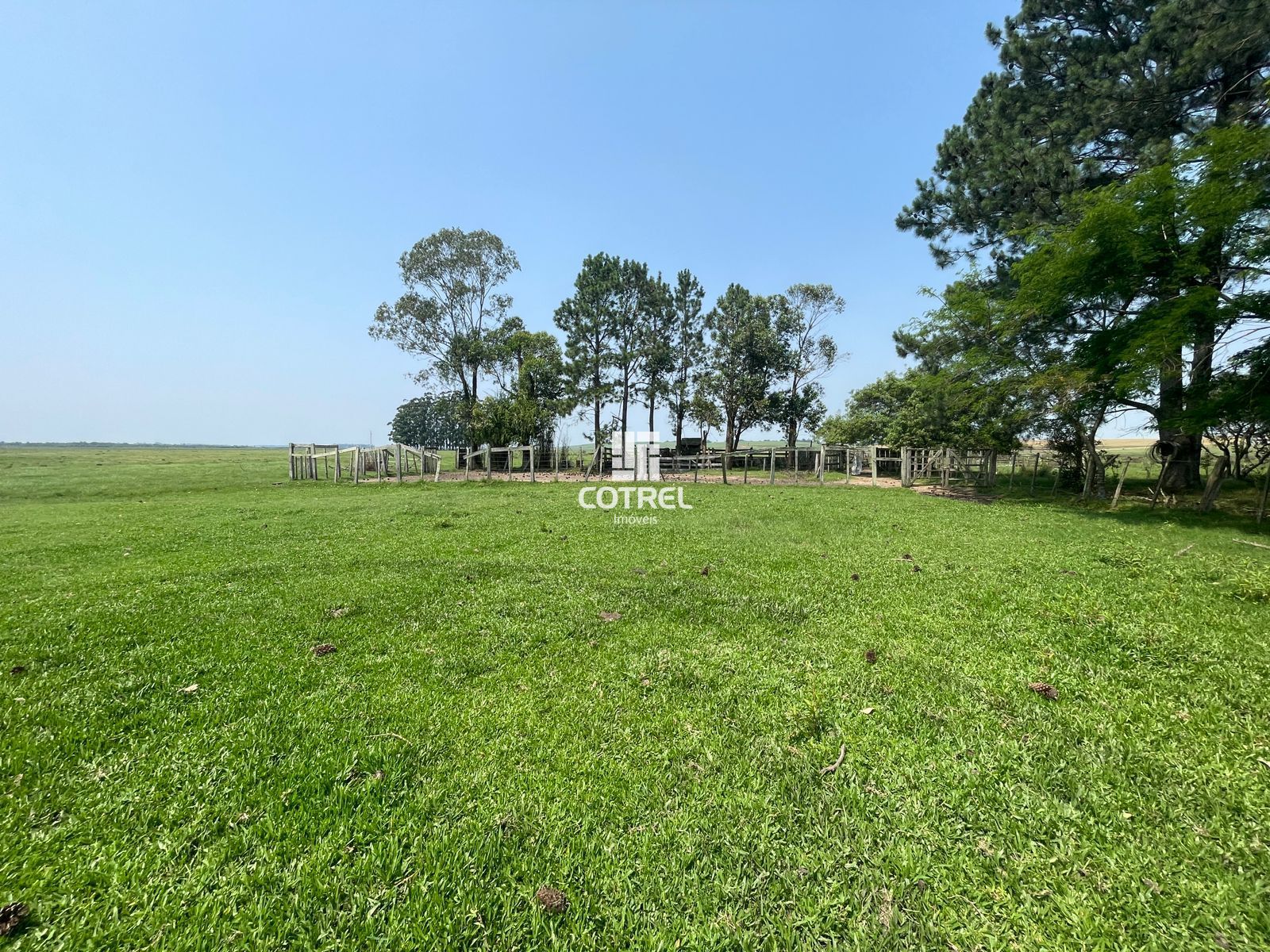 Fazenda para venda com 217 ha localizada na cidade de Sant'Ana do Livramento/RS.