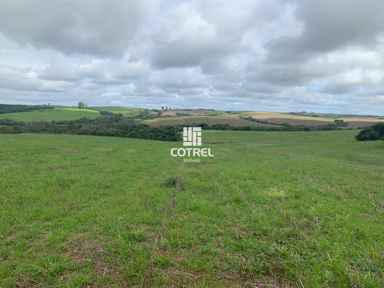 Campo com 12 hectares localizado na cidade de São Sepé/RS