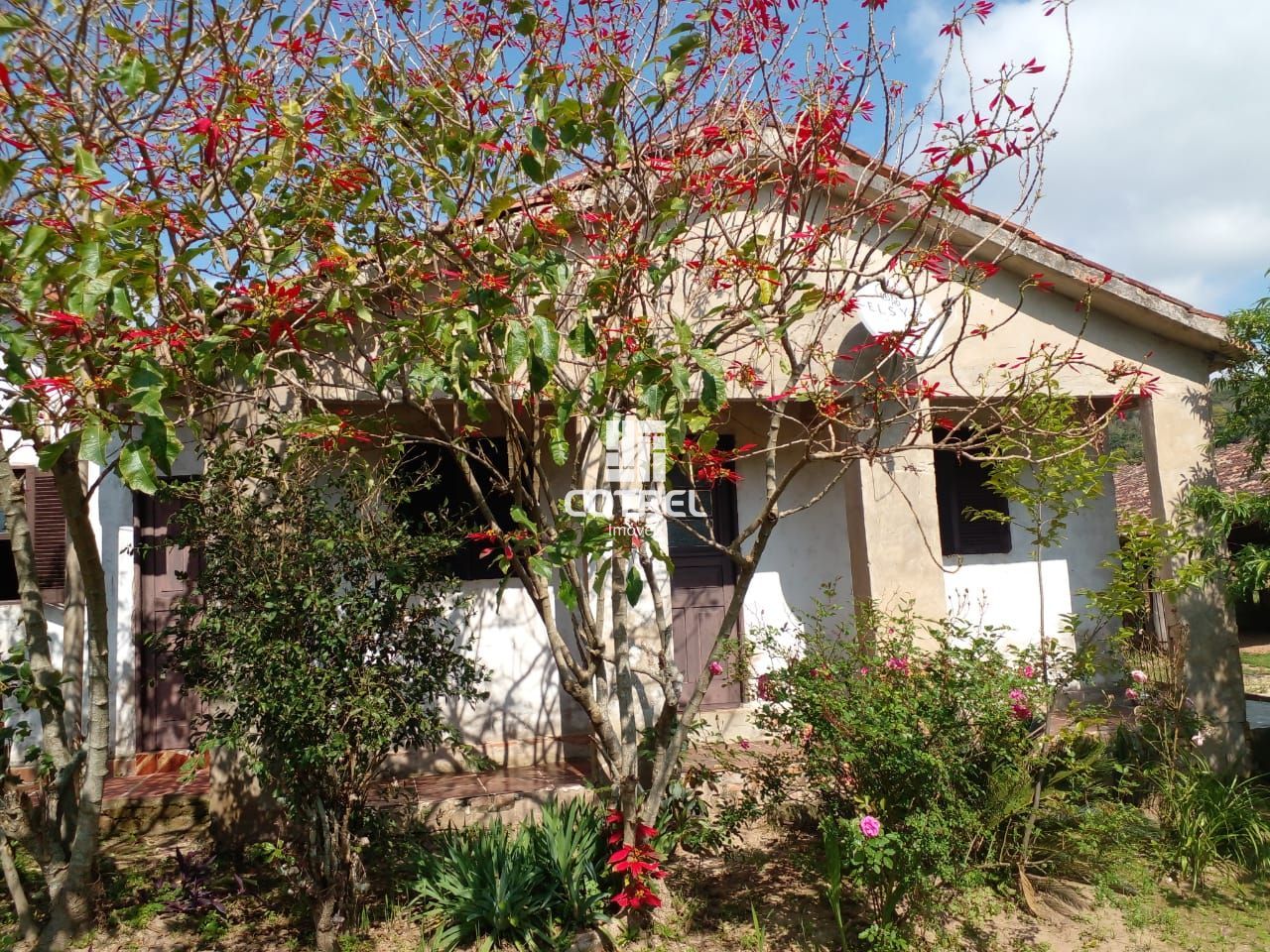 Chácara 20.3 ha  localizada na Zona Rural na cidade de Dona Francisca - RS
