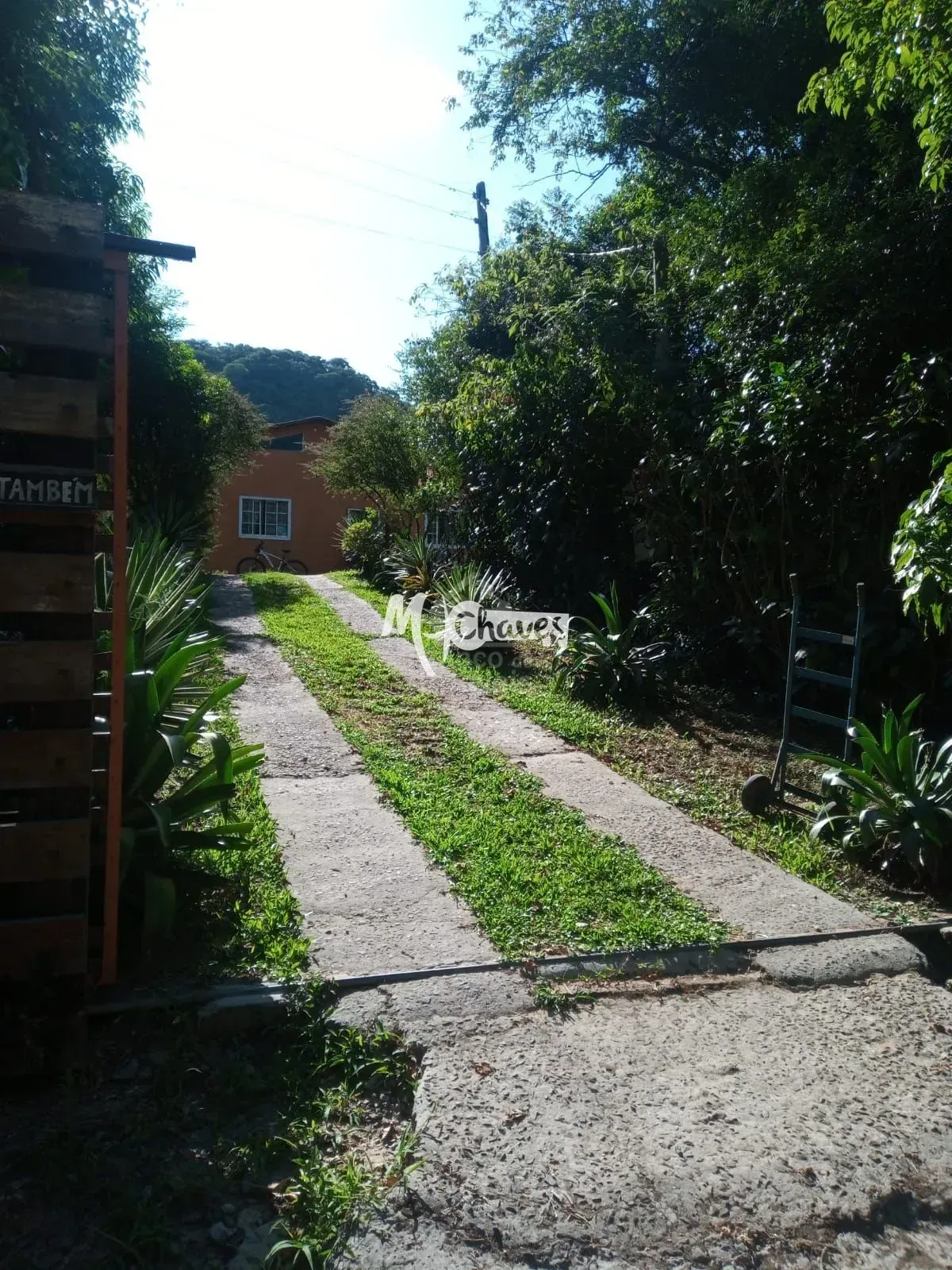 Chácara, 3 quartos, 3 hectares - Foto 2