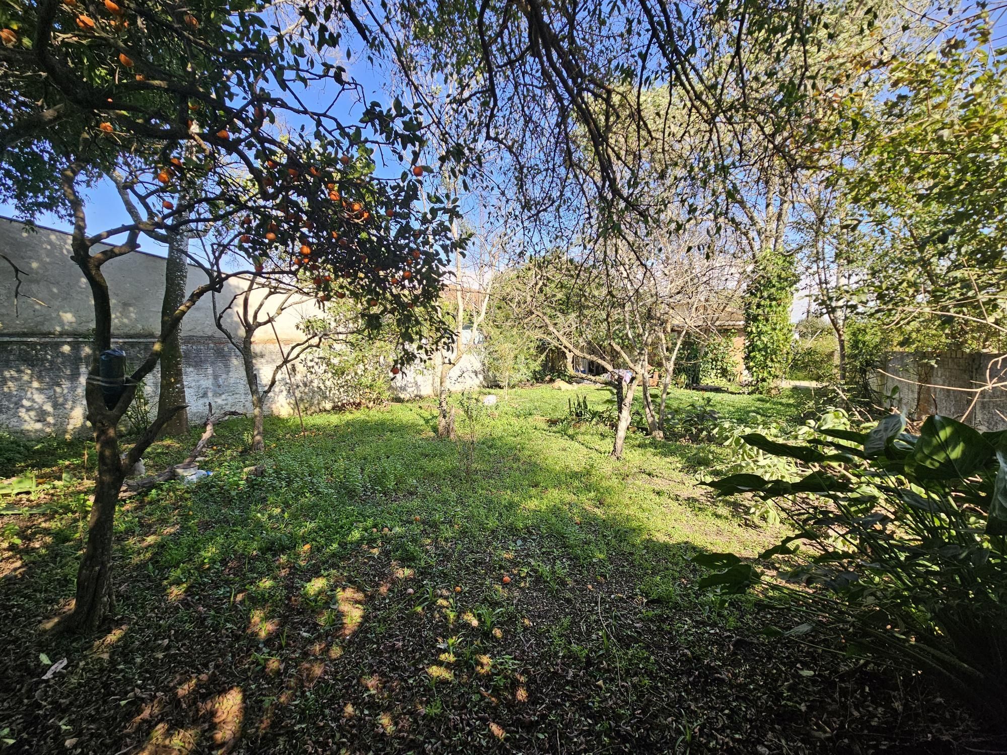 Casa, 3 quartos, 70 m² - Foto 20