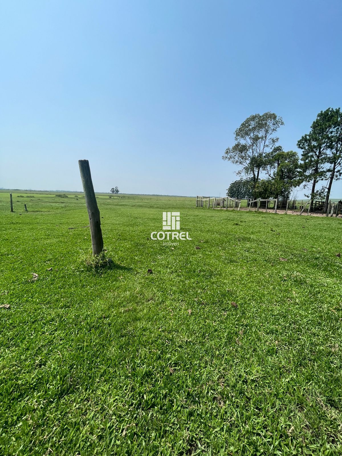 Fazenda para venda com 217 ha localizada na cidade de Sant'Ana do Livramento/RS.