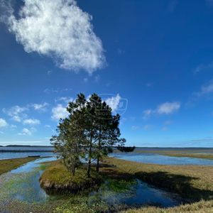 240 hectares em Palmares do Sul-RS