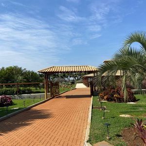 2.600 ha em Minas Gerais