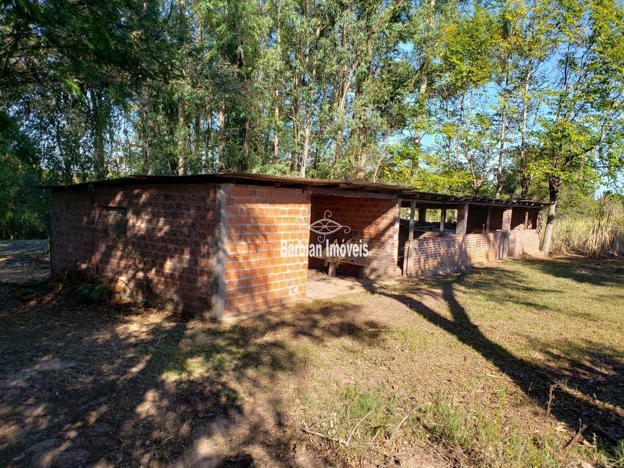 Fazenda à venda com 3 quartos, 200m² - Foto 6