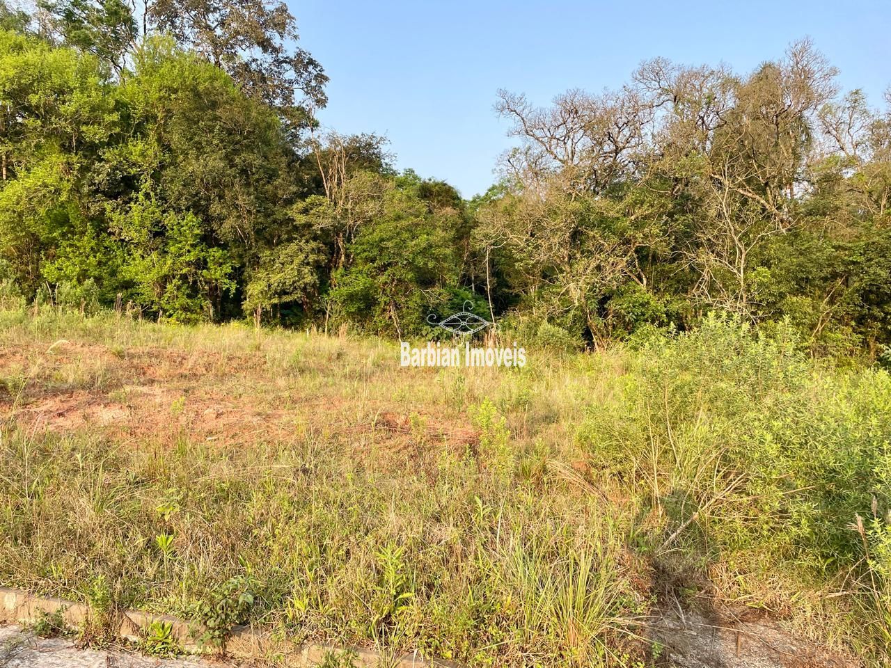 Terreno/Lote  venda  no Aliana - Santa Cruz do Sul, RS. Imveis