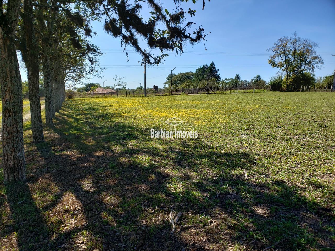 Fazenda à venda com 3 quartos, 200m² - Foto 22