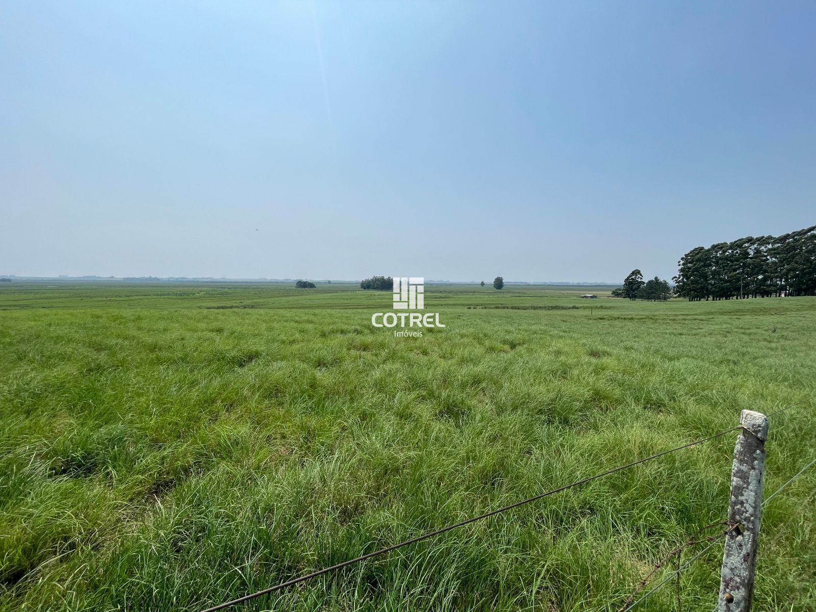 Fazenda para venda com 217 ha localizada na cidade de Sant'Ana do Livramento/RS.