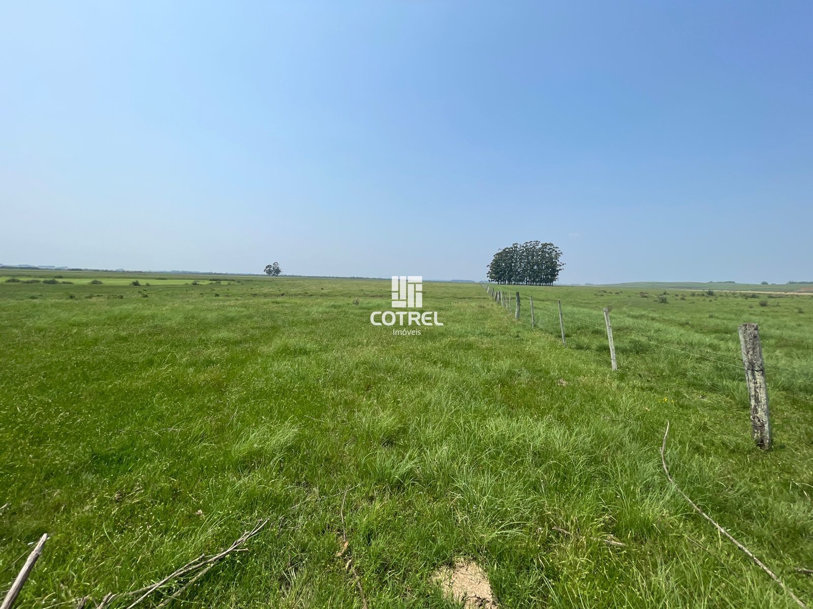 Fazenda para venda com 217 ha localizada na cidade de Sant'Ana do Livramento/RS.