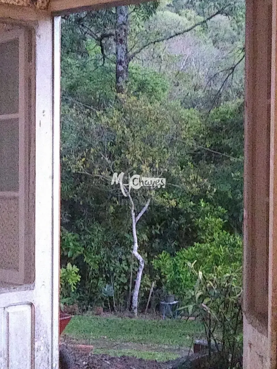 Chácara, 3 quartos, 3 hectares - Foto 24