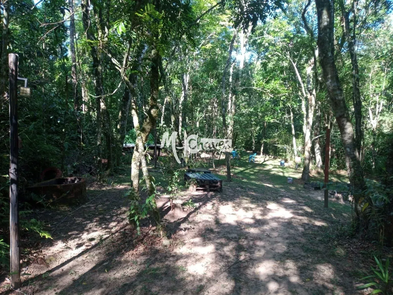 Chácara, 3 quartos, 3 hectares - Foto 8