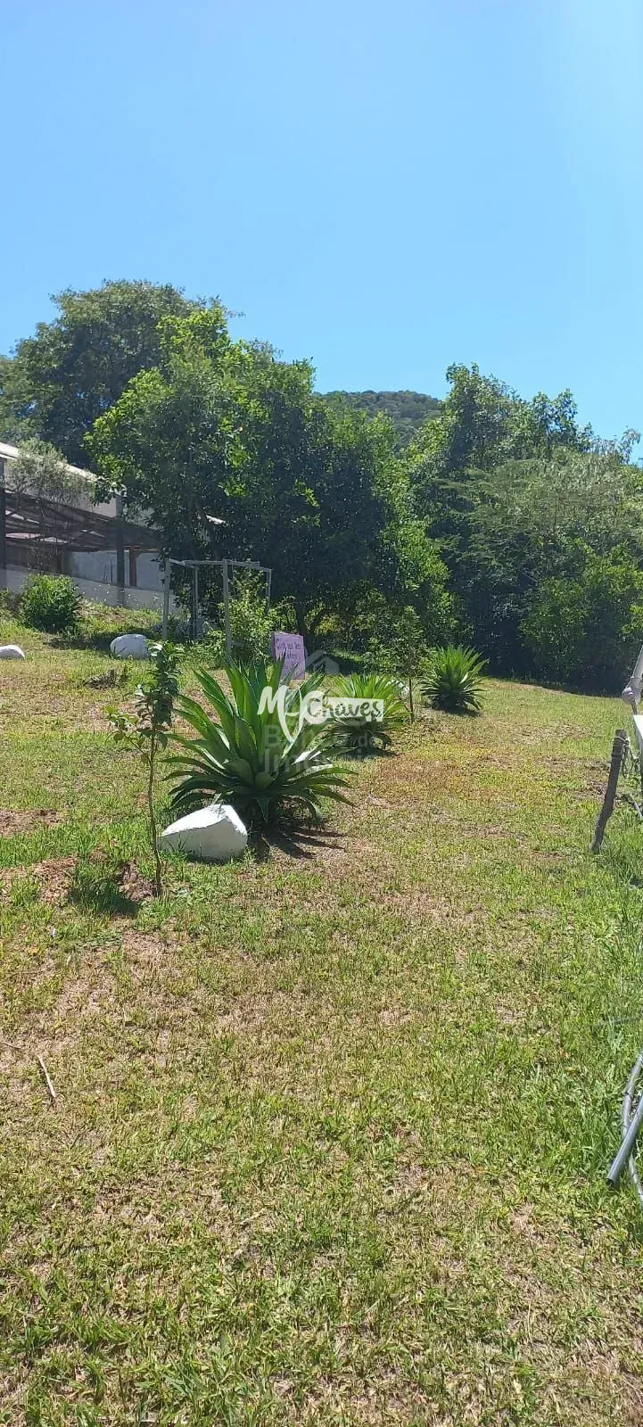 Chácara, 2 quartos, 2 hectares - Foto 13