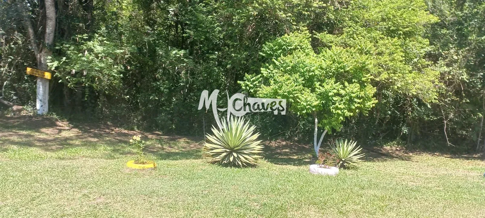 Chácara, 2 quartos, 2 hectares - Foto 12