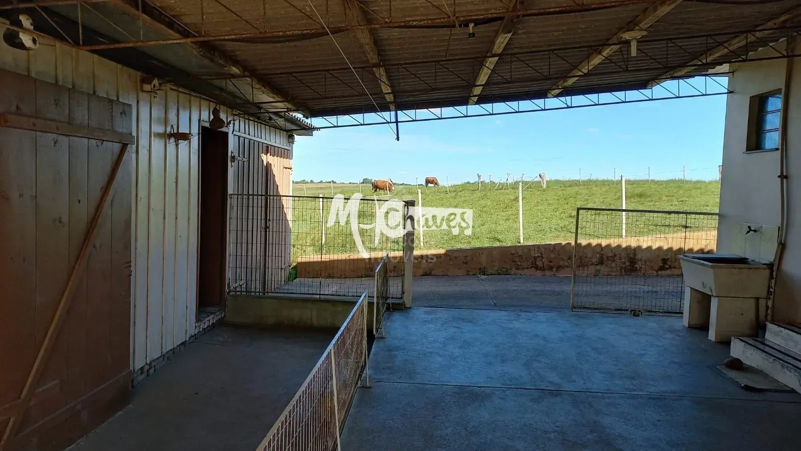 Sítio, 3 quartos, 3 hectares - Foto 3