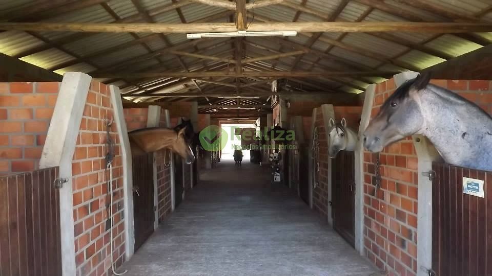 Fazenda para alugar com 4 quartos, 40000m² - Foto 6