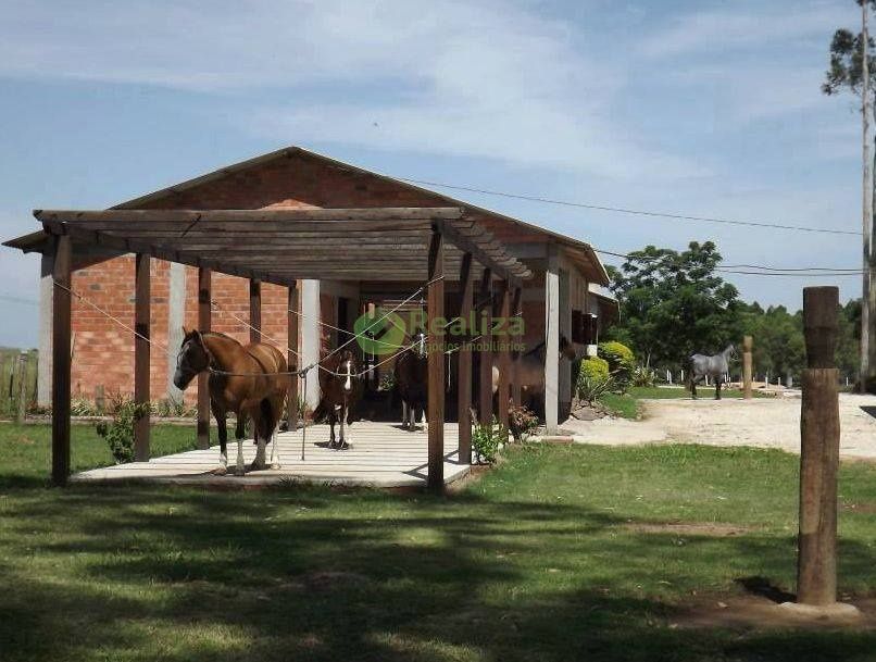 Fazenda para alugar com 4 quartos, 40000m² - Foto 2