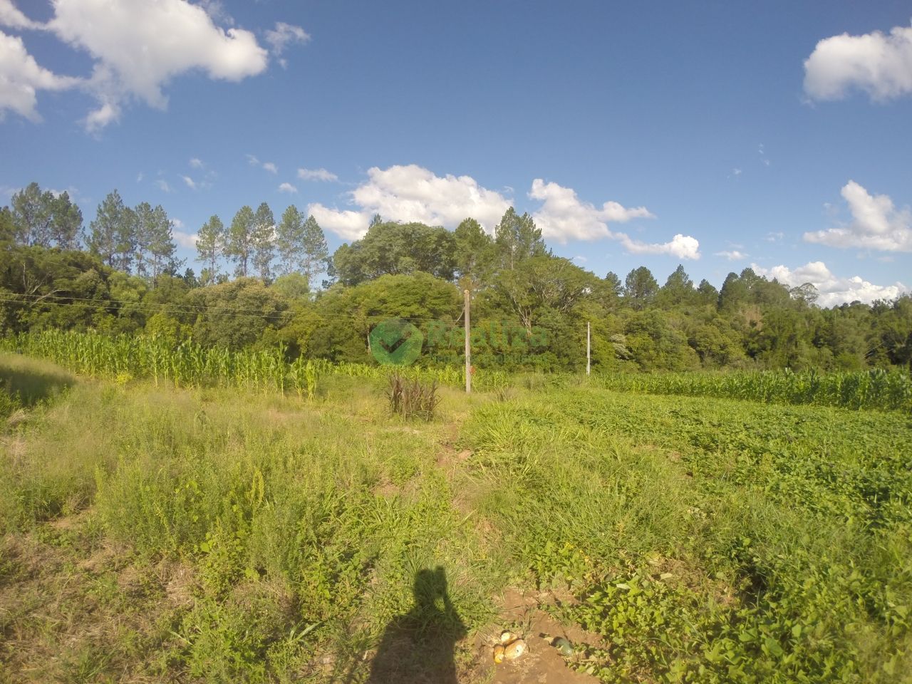 Fazenda à venda com 2 quartos, 60m² - Foto 5