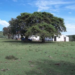 Área para pecuária.