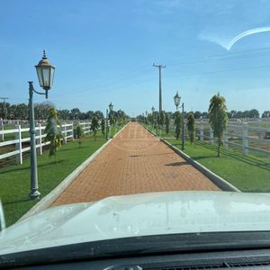2.600 ha em Minas Gerais