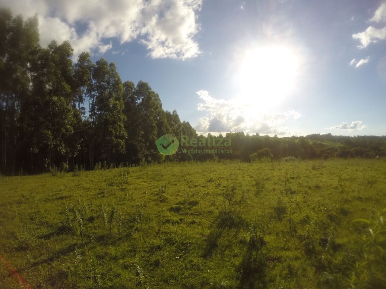 Fazenda à venda com 2 quartos, 60m² - Foto 20