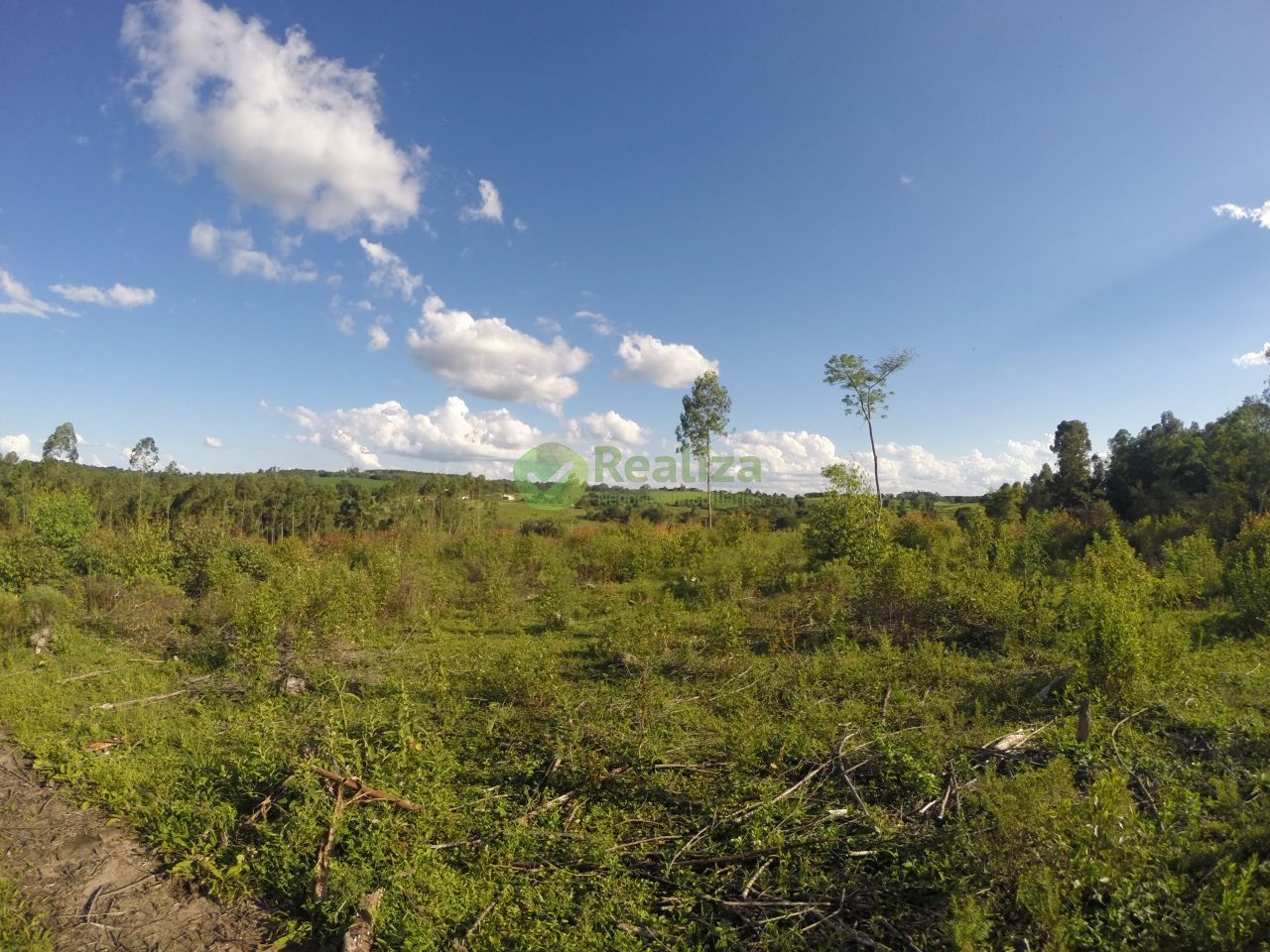 Chácara, 2 quartos, 60 m² - Foto 9