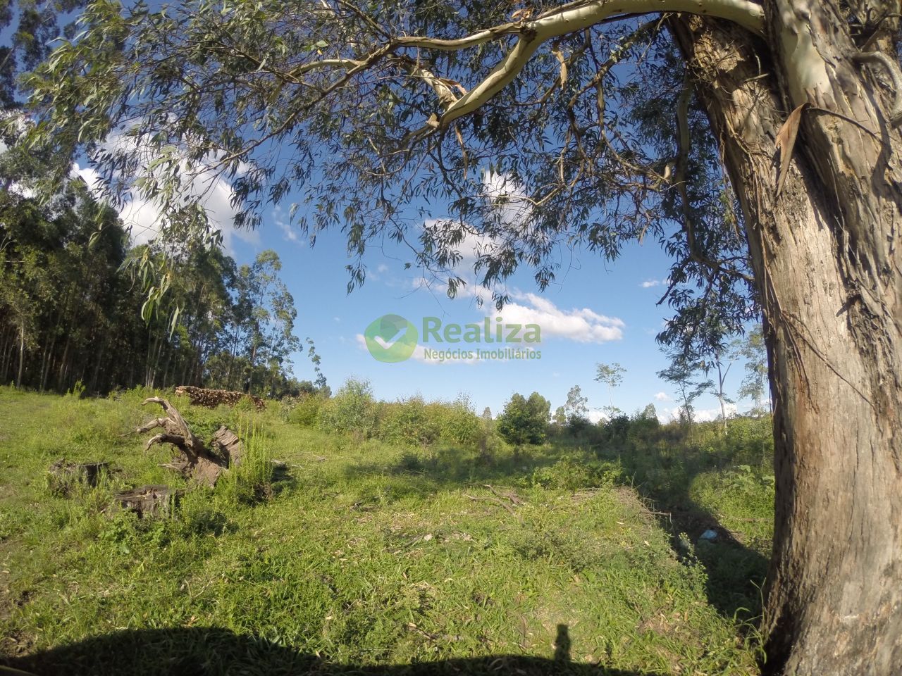 Chácara, 2 quartos, 60 m² - Foto 12