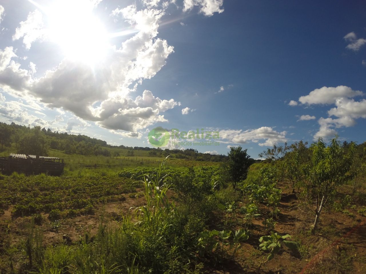 Fazenda à venda com 2 quartos, 60m² - Foto 2