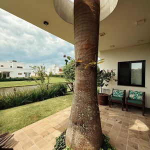 Casa com 284m², 3 dormitórios, 1 suíte, 2 vagas no Reserva das Águas em Torres para Comprar