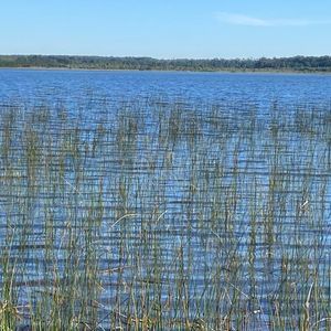 240 hectares em Palmares do Sul-RS