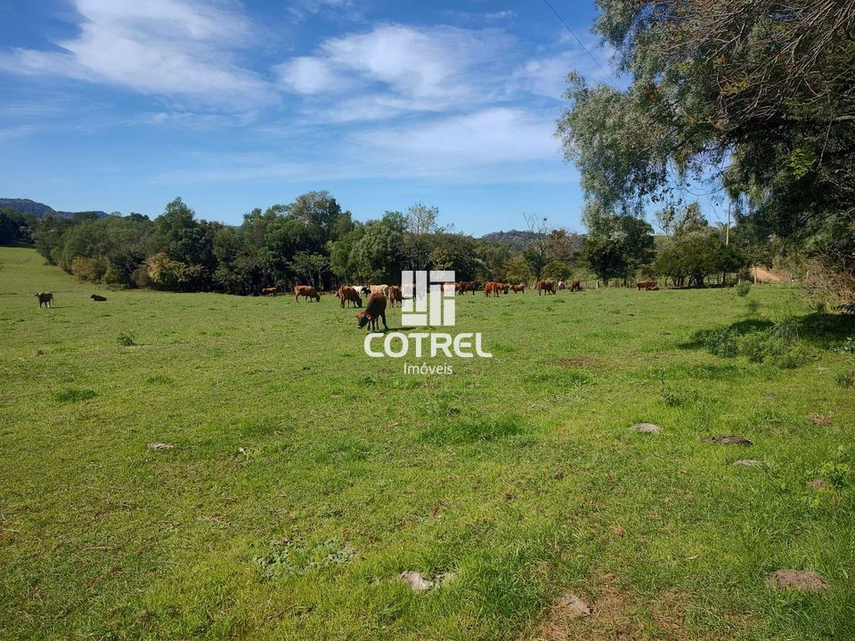 Campo para venda com 34 hectares a 18 km de Santa Maria/RS