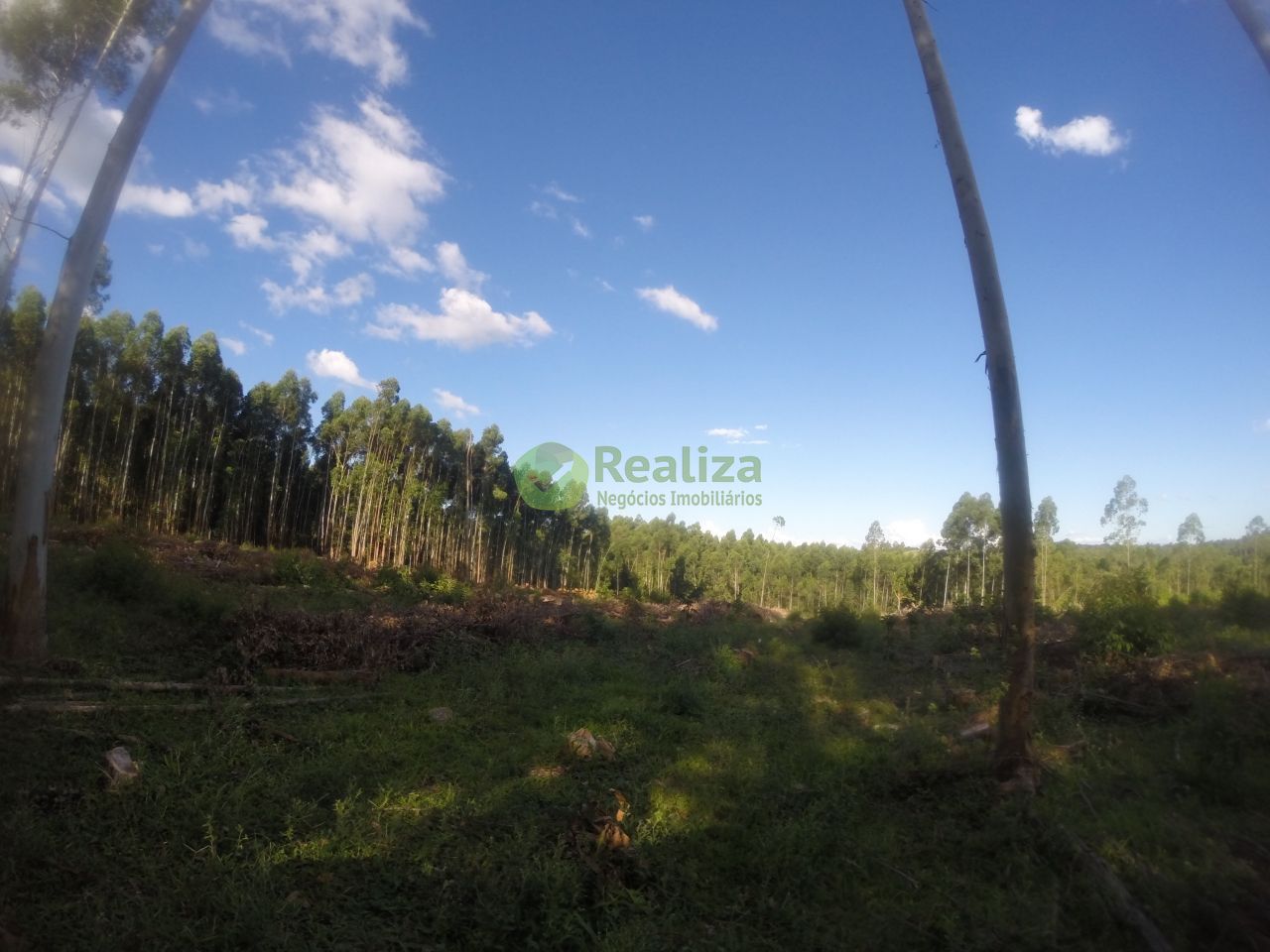 Chácara, 2 quartos, 60 m² - Foto 14