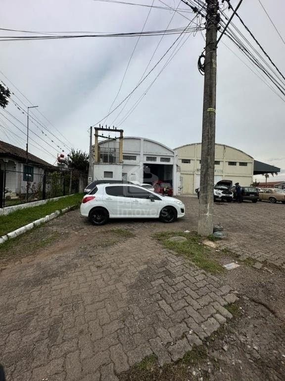 Depósito-Galpão - Foto 1