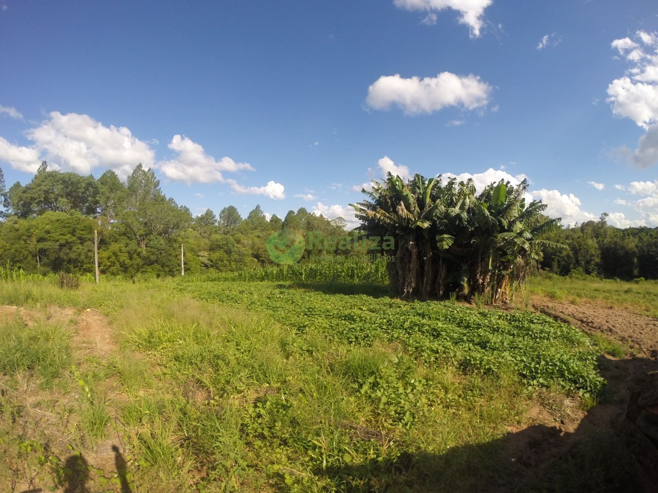 Fazenda à venda com 2 quartos, 60m² - Foto 4