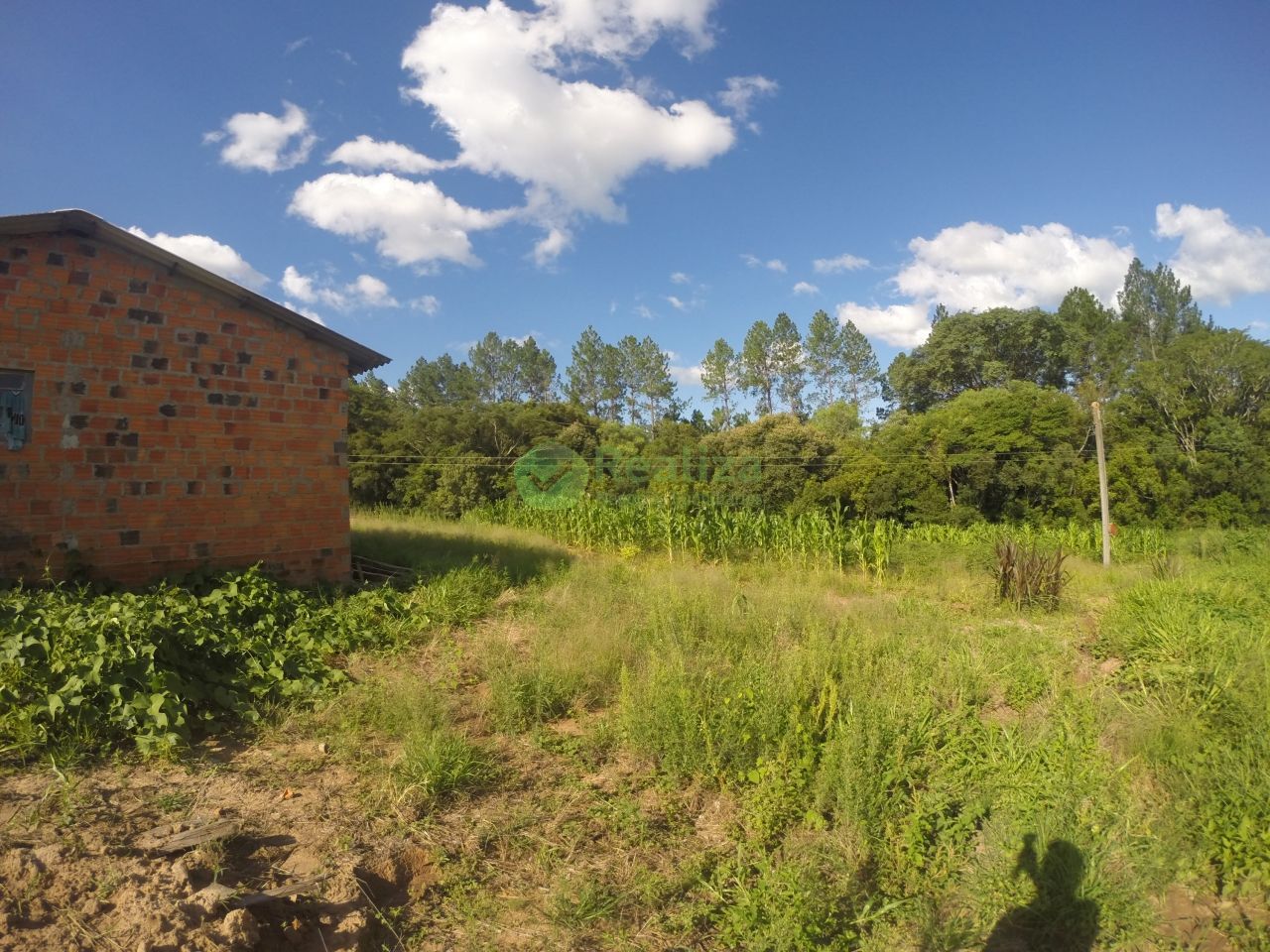 Fazenda à venda com 2 quartos, 60m² - Foto 6